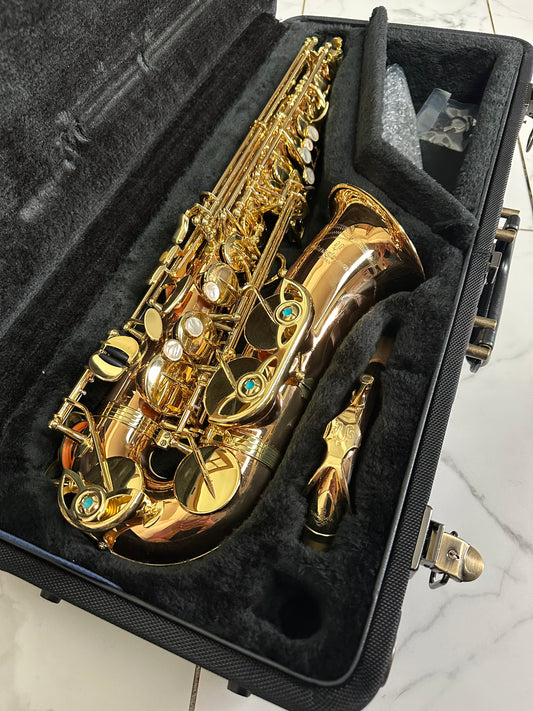 Yanagisawa AWO2 Bronze Alto Saxophone