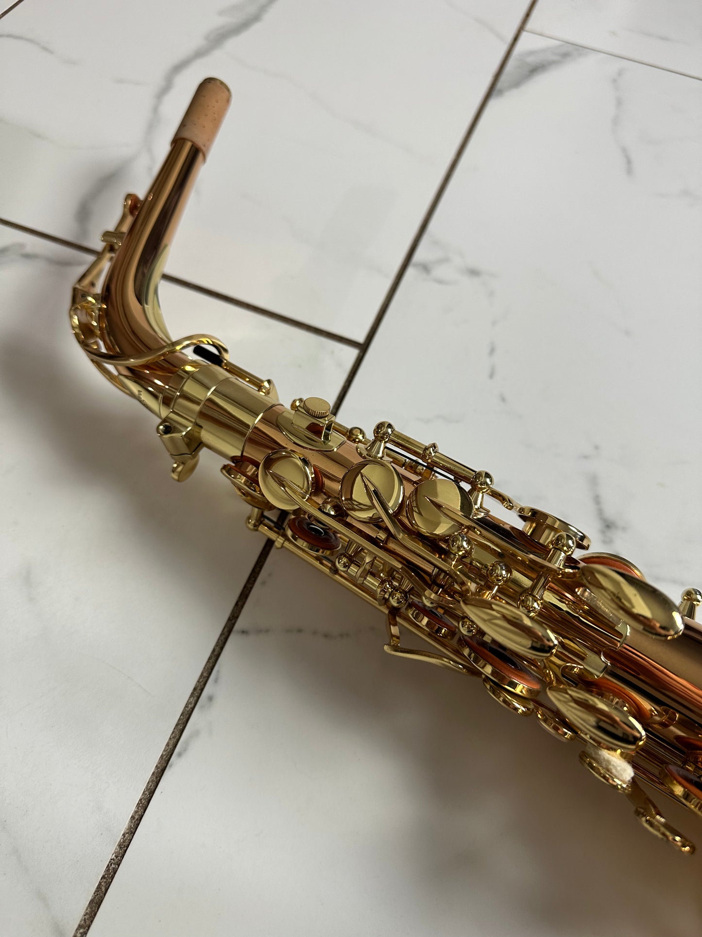Yanagisawa AWO2 Bronze Alto Saxophone