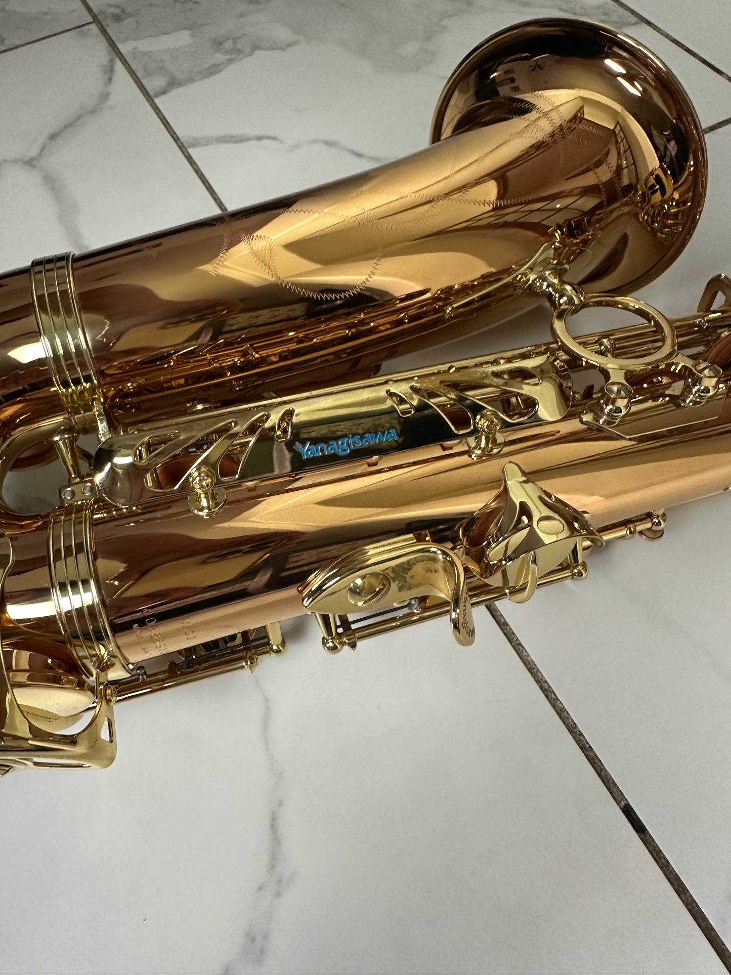 Yanagisawa AWO2 Bronze Alto Saxophone