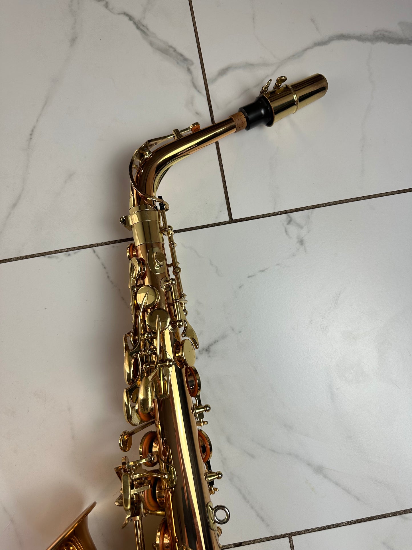Yanagisawa A-WO2 Professional Alto Saxophone