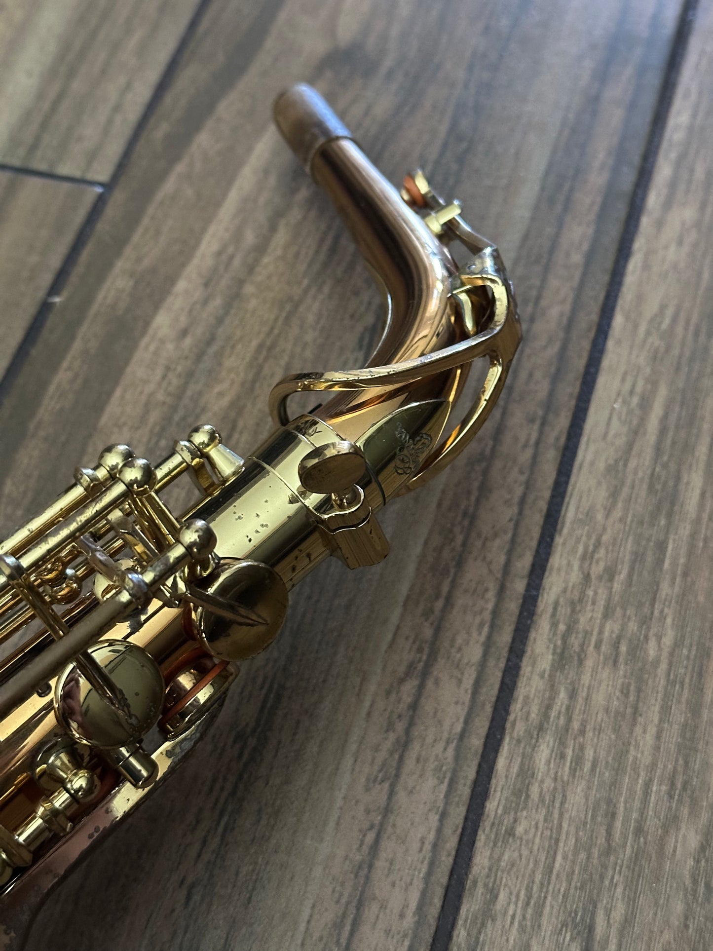 Yanagisawa AWO2 Bronze Professional Alto Saxophone