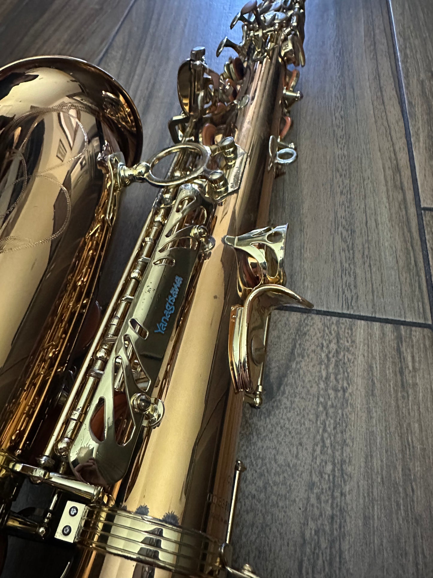 Yanagisawa AWO2 Bronze Professional Alto Saxophone