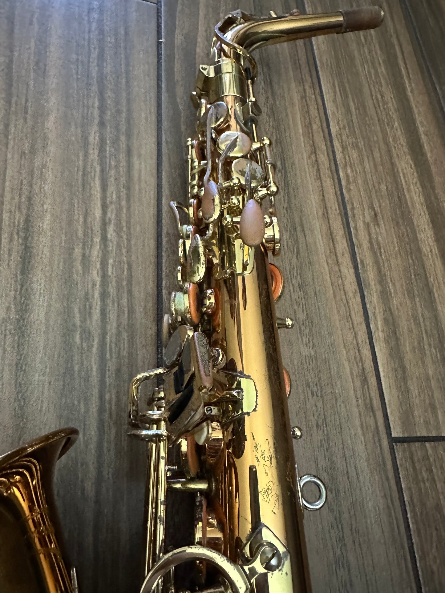 Yanagisawa AWO2 Bronze Professional Alto Saxophone