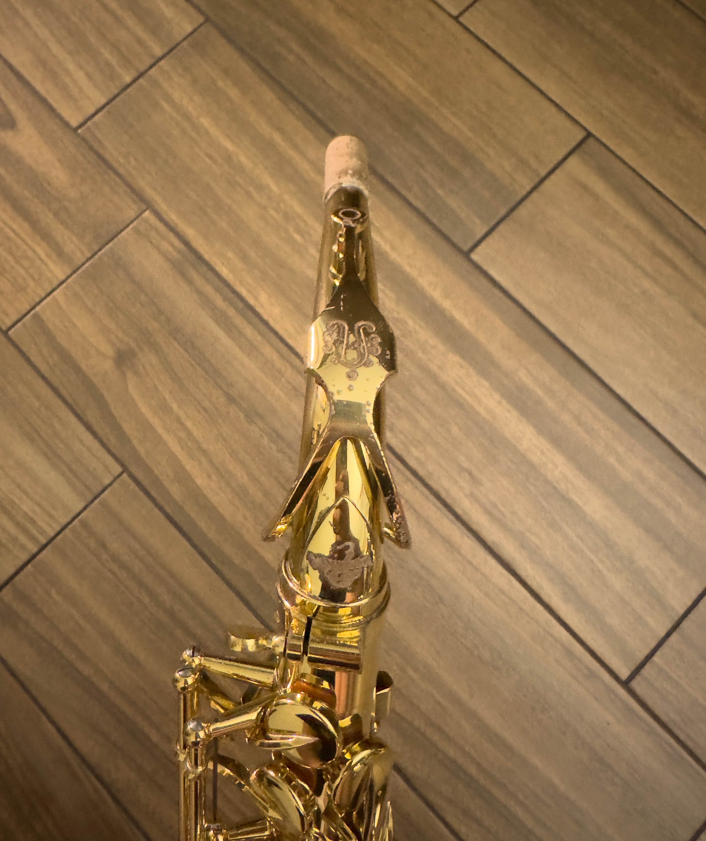 Yanagisawa AW01 Professional Alto Saxophone