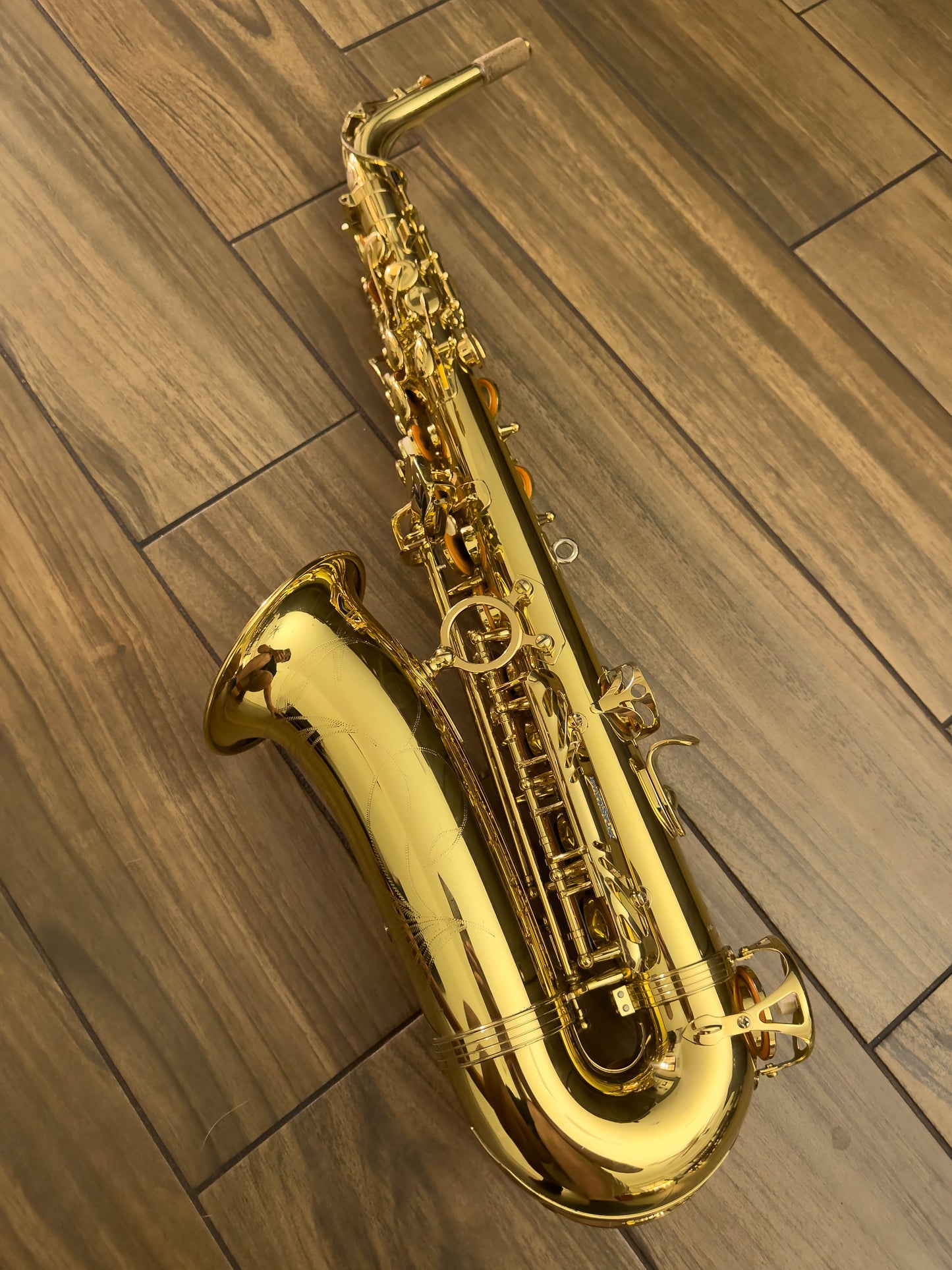 Yanagisawa AW01 Professional Alto Saxophone