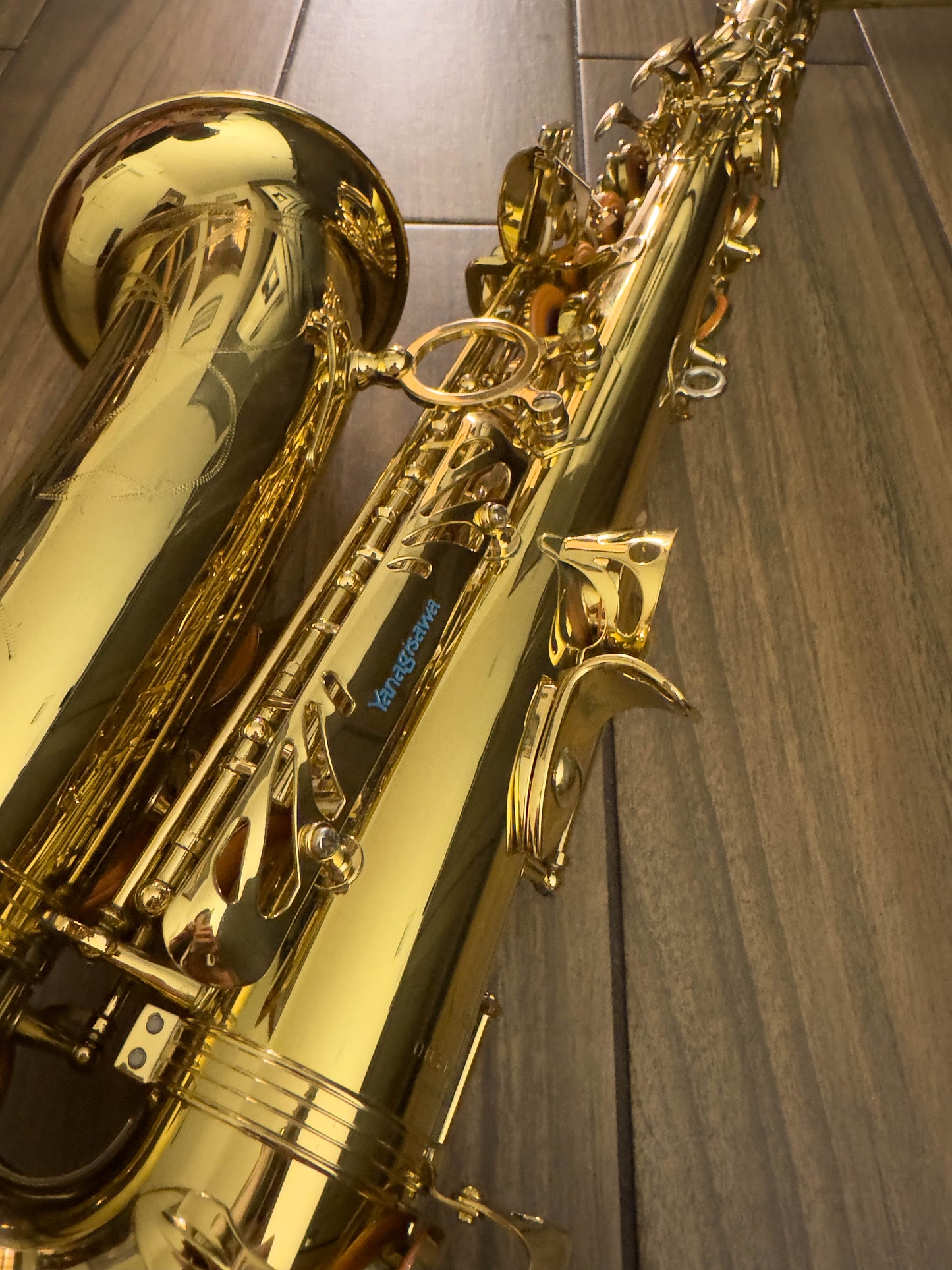 Yanagisawa AW01 Professional Alto Saxophone