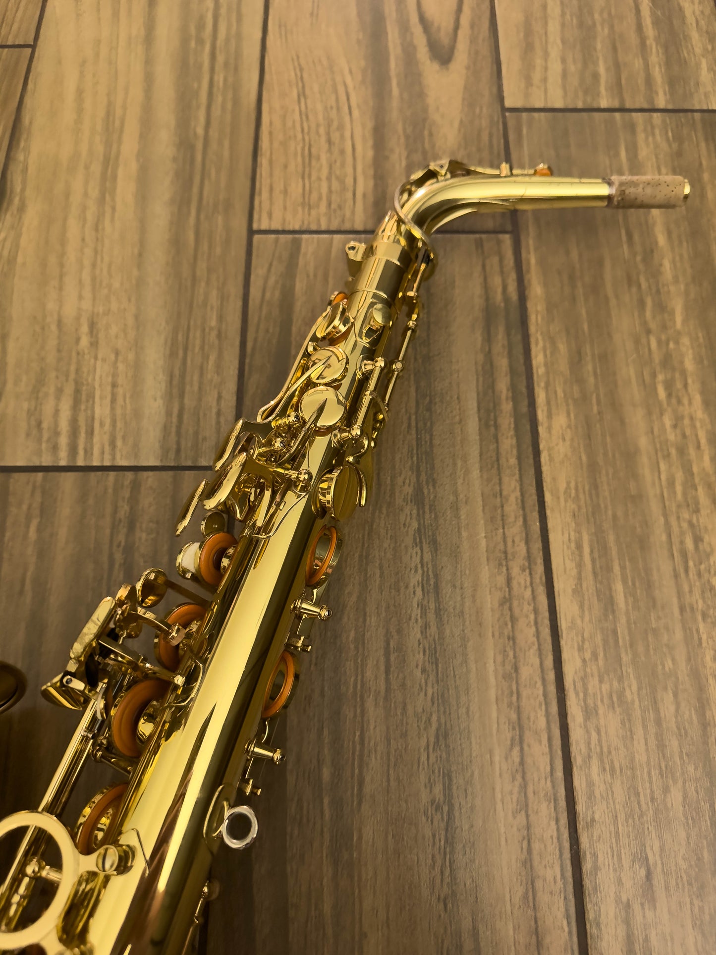 Yanagisawa AW01 Professional Alto Saxophone
