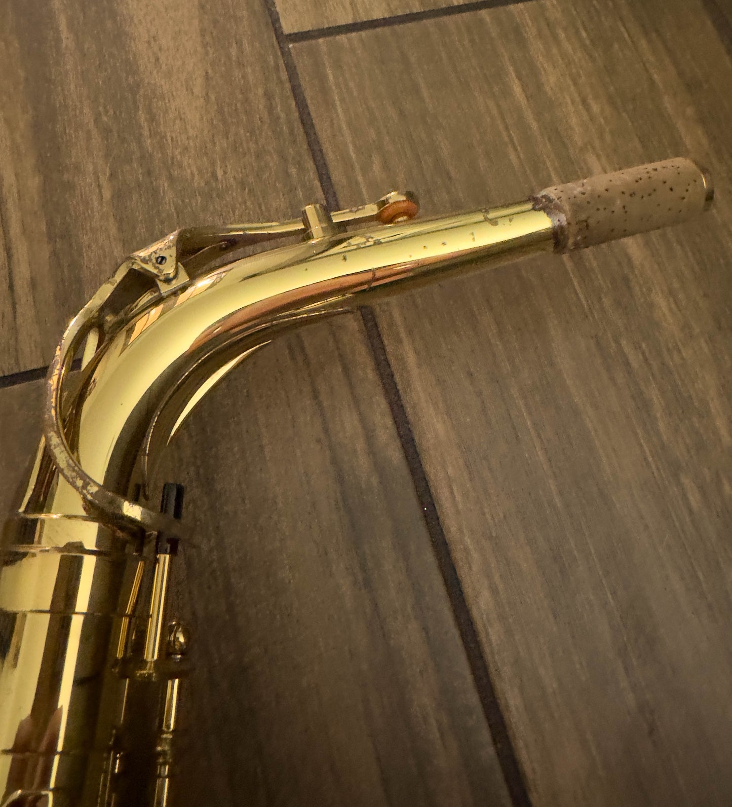 Yanagisawa AW01 Professional Alto Saxophone