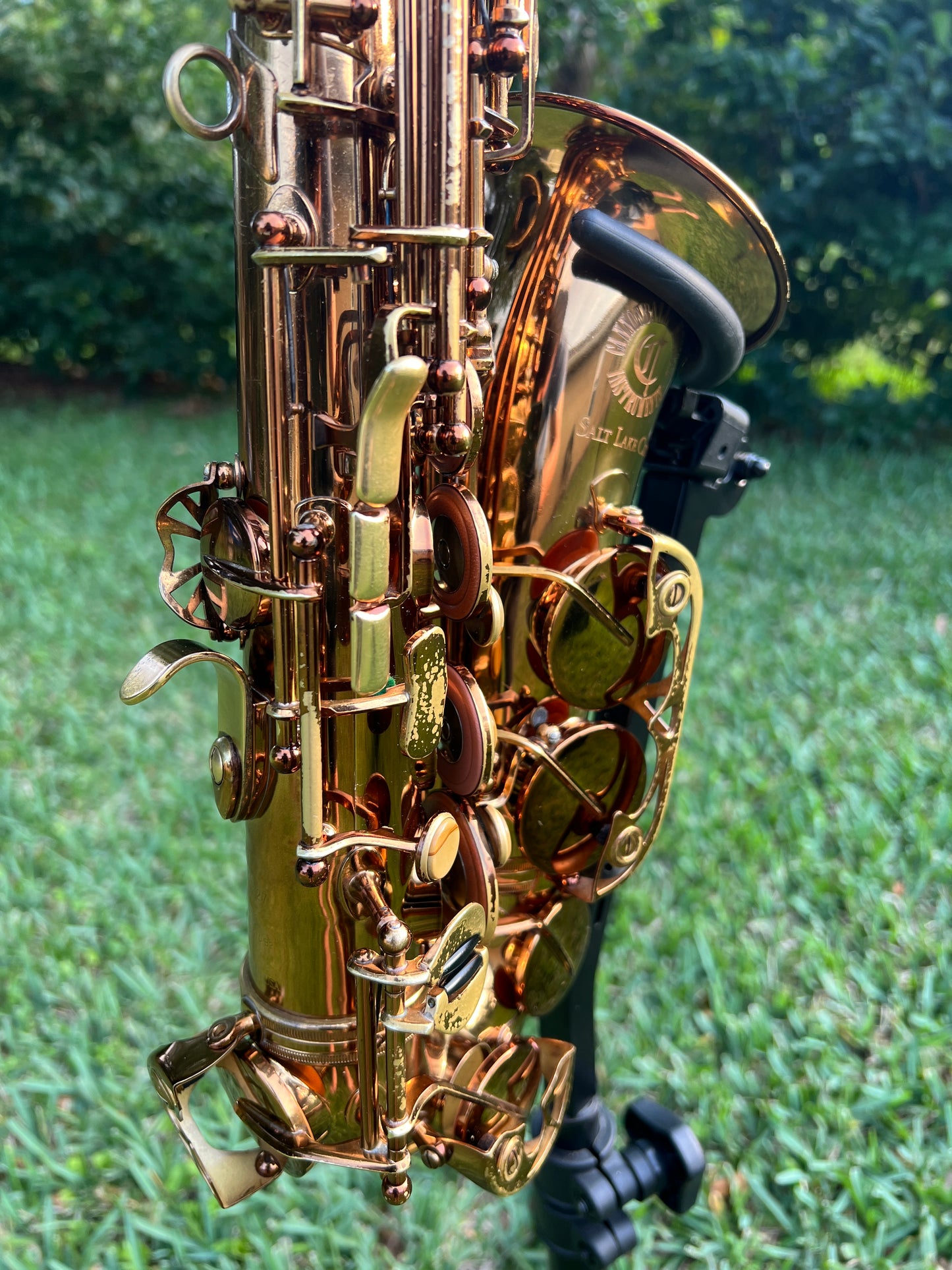 Cannonball Vintage Reborn Alto Saxophone Limited Edition 112/500