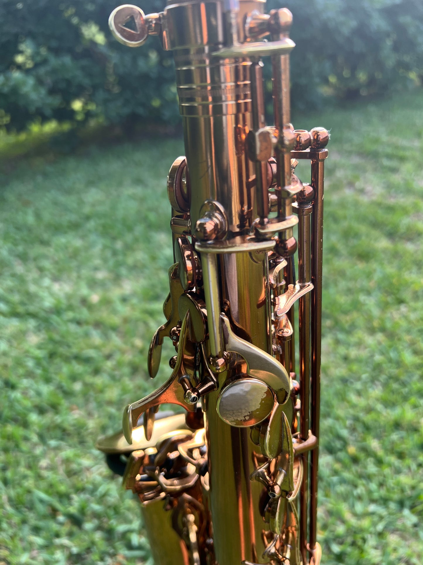 Cannonball Vintage Reborn Alto Saxophone Limited Edition 112/500