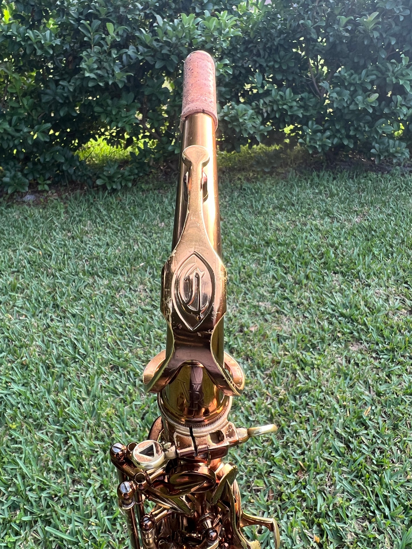 Cannonball Vintage Reborn Alto Saxophone Limited Edition 112/500