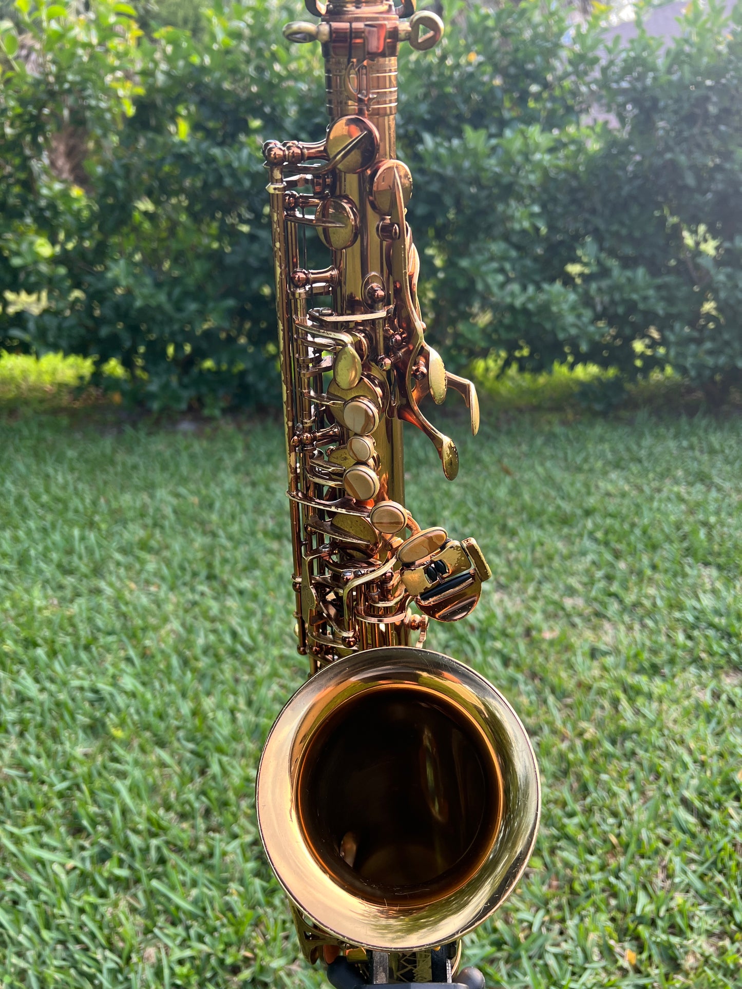 Cannonball Vintage Reborn Alto Saxophone Limited Edition 112/500