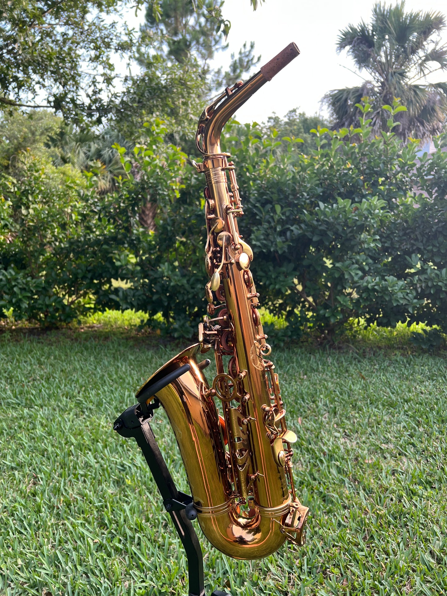 Cannonball Vintage Reborn Alto Saxophone Limited Edition 112/500