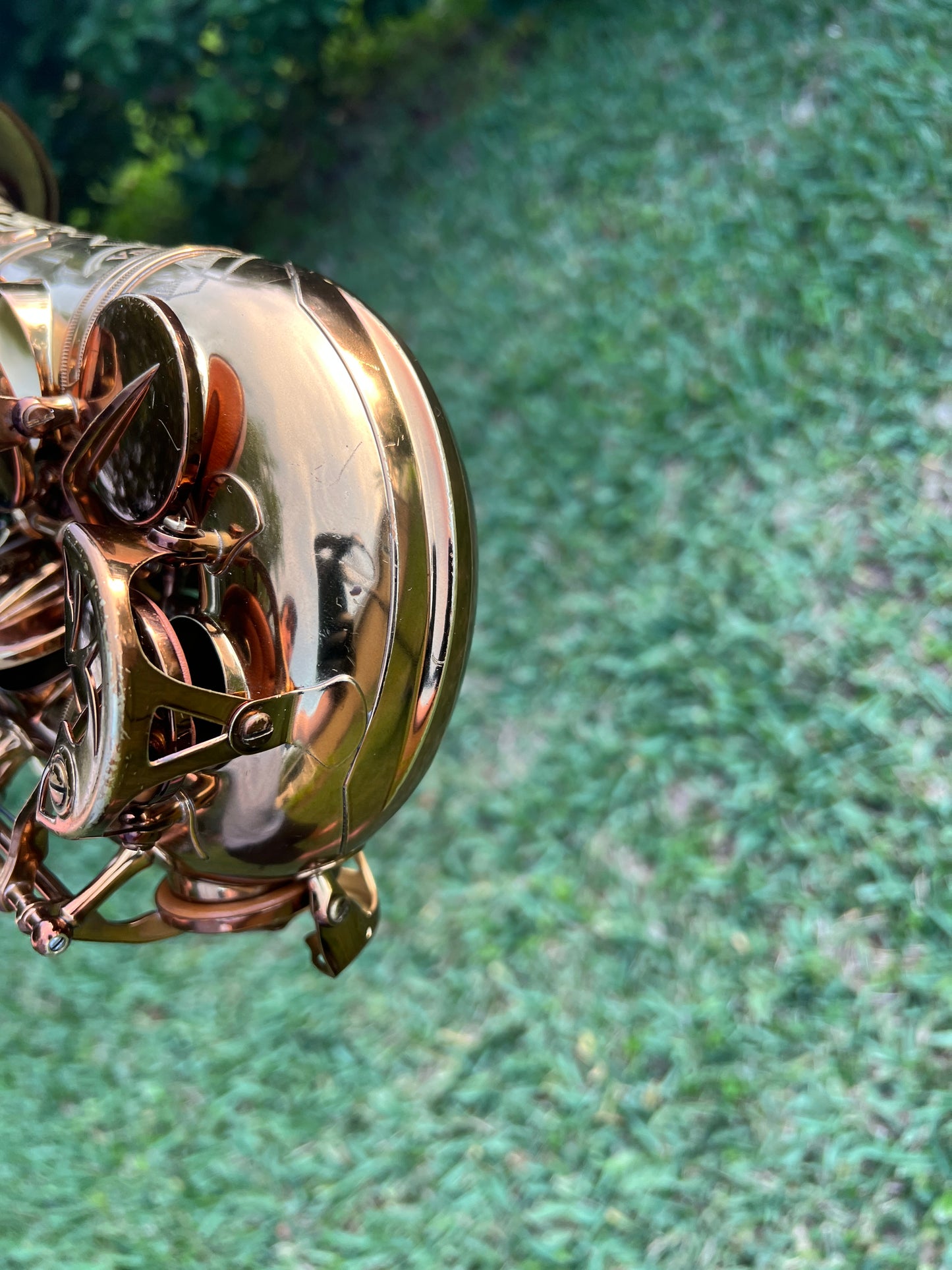 Cannonball Vintage Reborn Alto Saxophone Limited Edition 112/500