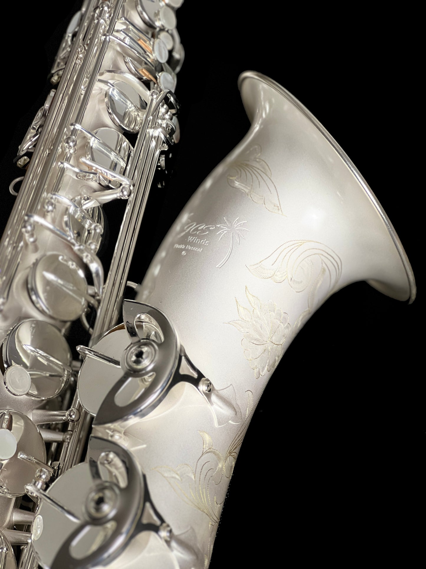 JCS Winds Florida Nascent Tenor Saxophone