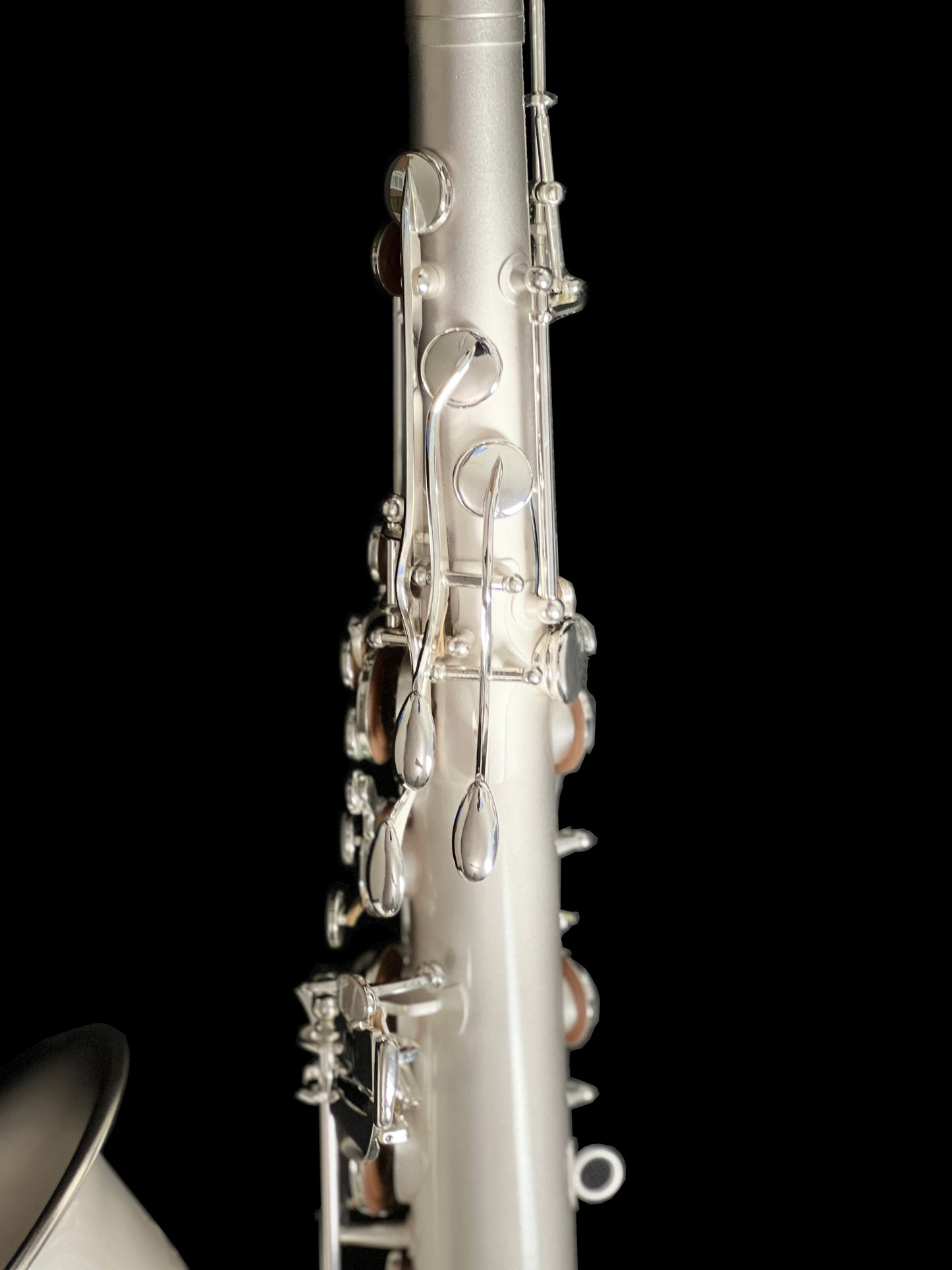 JCS Winds Florida Nascent Tenor Saxophone