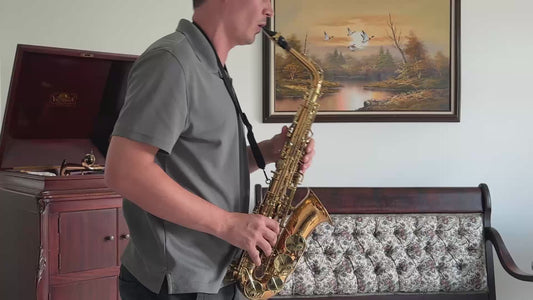 Yanagisawa AWO2 Bronze Professional Alto Saxophone