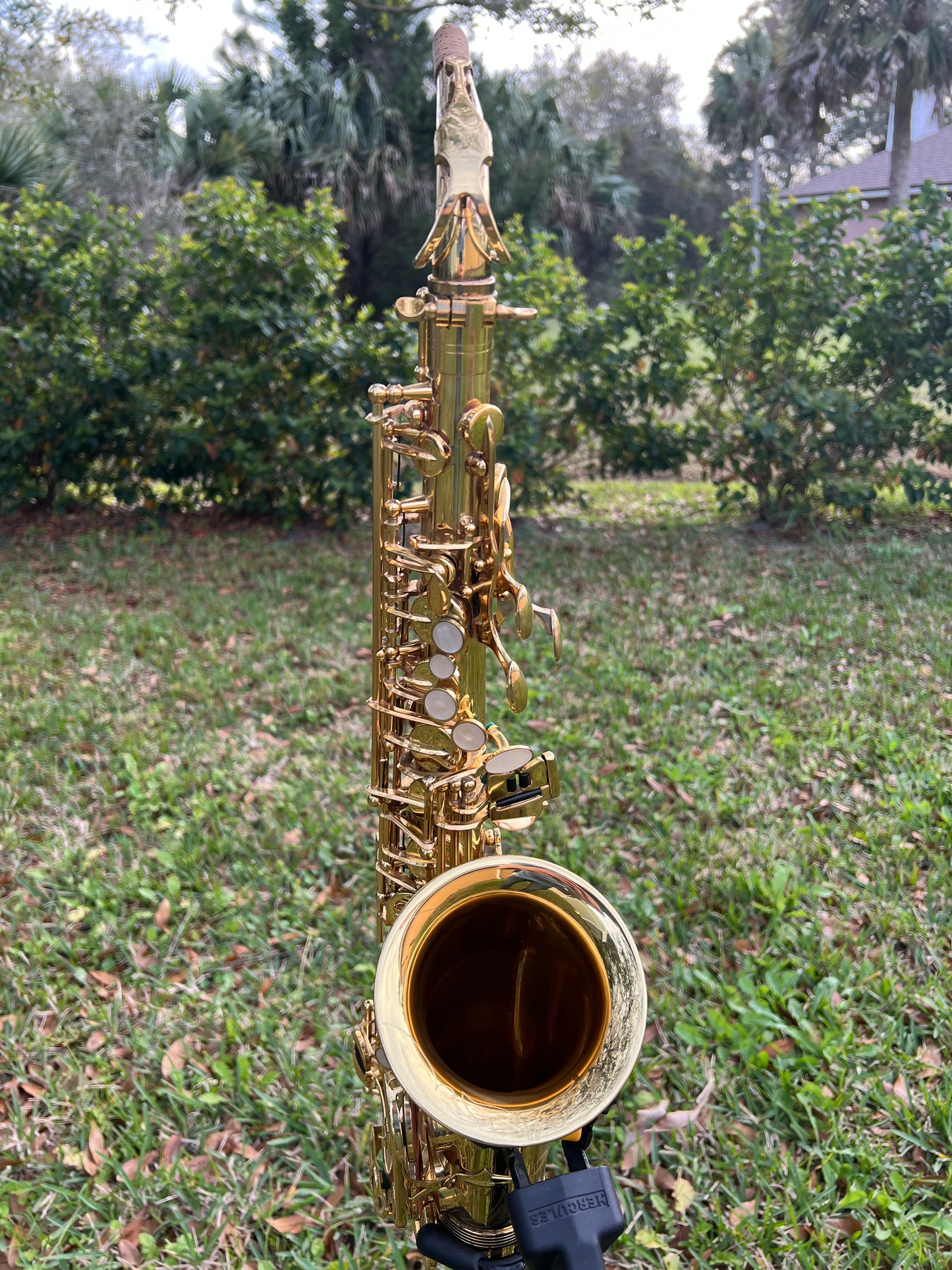 RS Berkeley Virtuoso Professional Alto Saxophone - Gold Lacquer