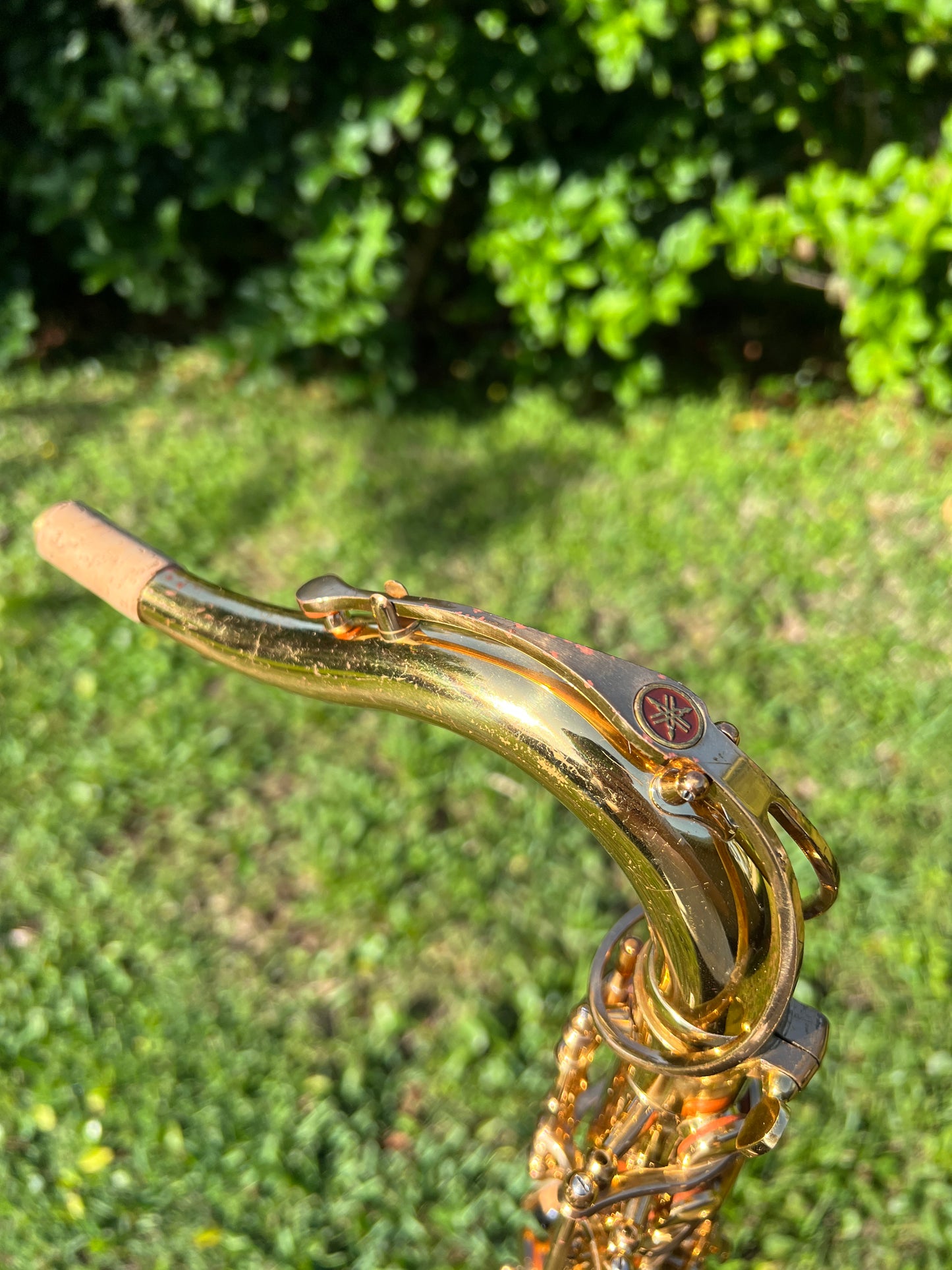 Vintage Yamaha YTS-62 Purple Logo Tenor Saxophone ~ Recent Repad!